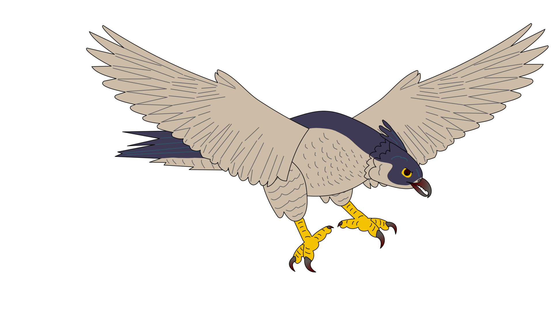Maddie — a peregrine falcon hybrid diving at speed