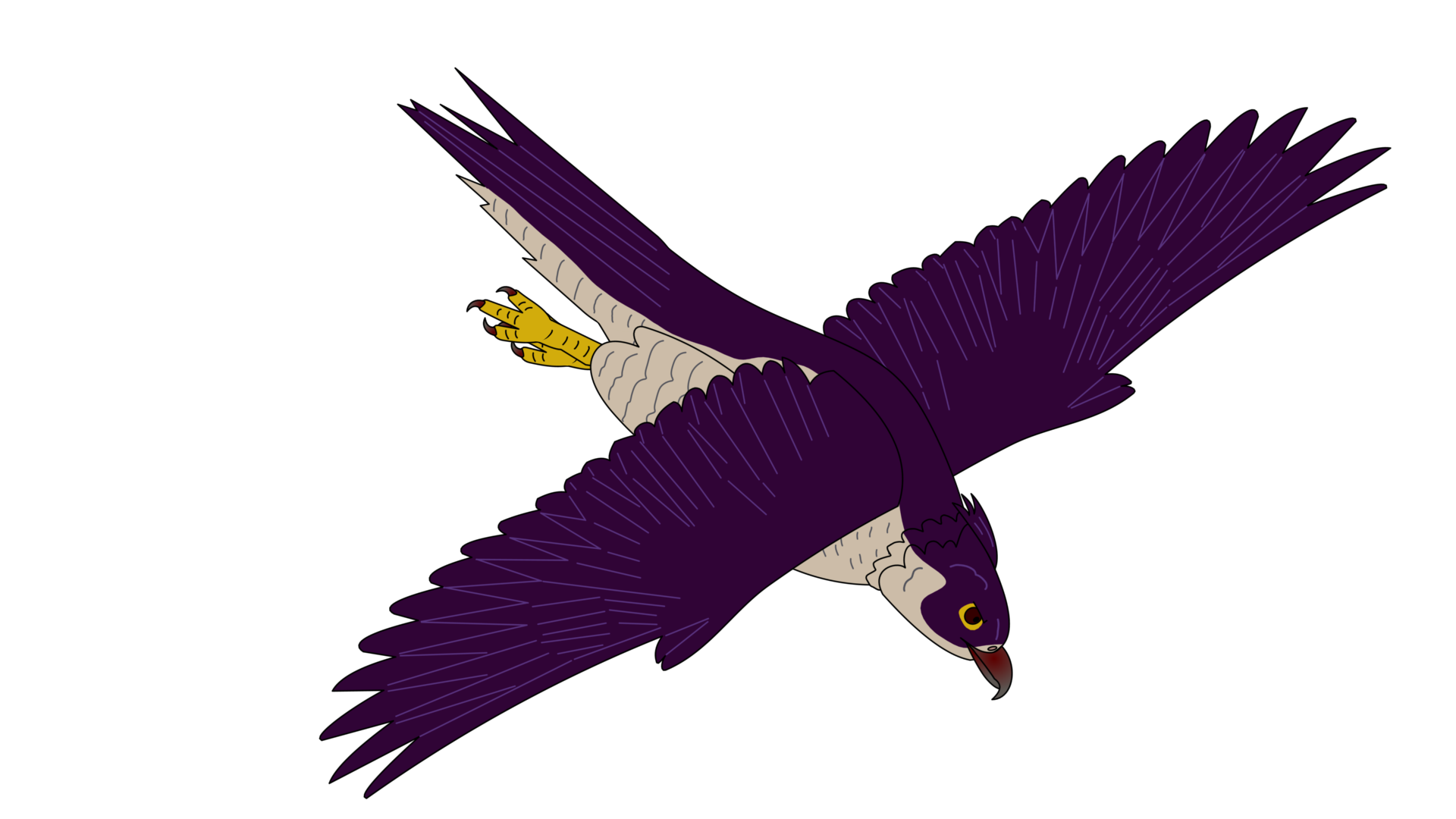 Maggie — a dark purple falcon hybrid in a steep dive